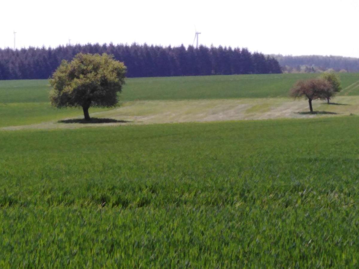Ferienhaus Cilla Beltheim Εξωτερικό φωτογραφία